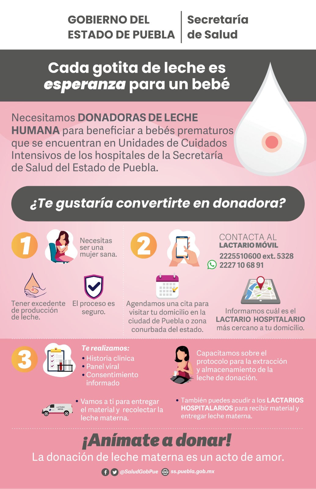 Campaña de Leche Materna (Secretaría de Salud)